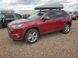Salvage cars for sale from Copart Phoenix, AZ: 2021 Toyota Rav4 Limited