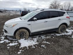 Ford salvage cars for sale: 2014 Ford Escape SE