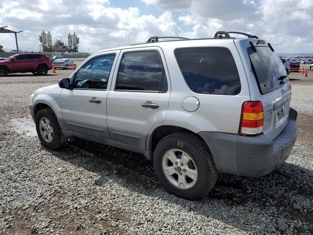 2007 Ford Escape XLT