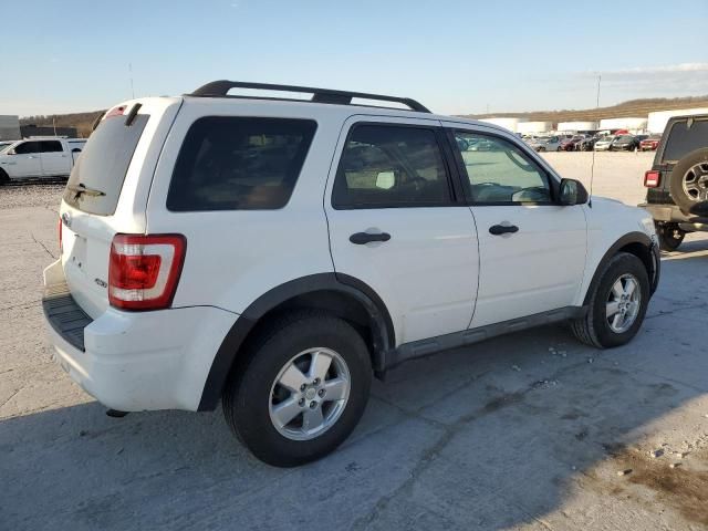 2009 Ford Escape XLT