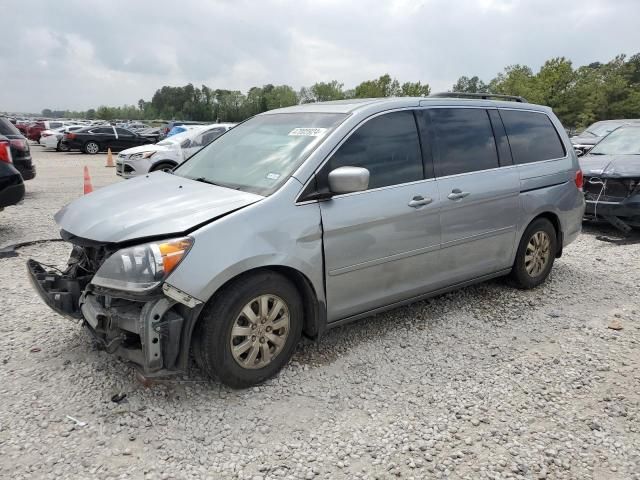 2010 Honda Odyssey EXL