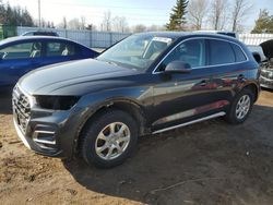 Salvage cars for sale from Copart Ontario Auction, ON: 2021 Audi Q5 Premium