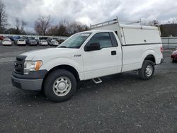 Ford salvage cars for sale: 2013 Ford F150