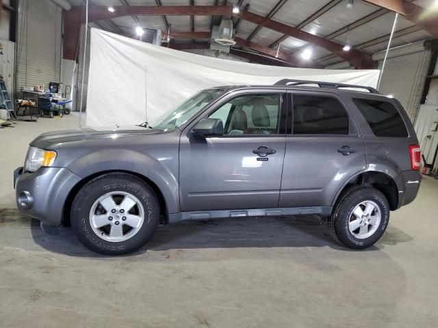 2012 Ford Escape XLT