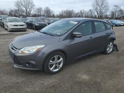 Ford Focus salvage cars for sale: 2013 Ford Focus SE