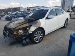 Salvage cars for sale at Lebanon, TN auction: 2011 Honda Accord EXL