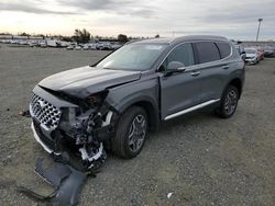 Salvage cars for sale at Antelope, CA auction: 2023 Hyundai Santa FE Limited