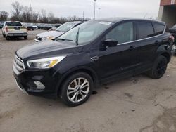 Salvage cars for sale from Copart Fort Wayne, IN: 2017 Ford Escape SE