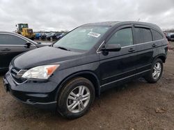 Salvage cars for sale at Elgin, IL auction: 2011 Honda CR-V EX