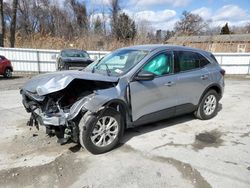 Salvage cars for sale from Copart Albany, NY: 2023 Ford Escape Active