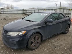 KIA Forte EX salvage cars for sale: 2011 KIA Forte EX