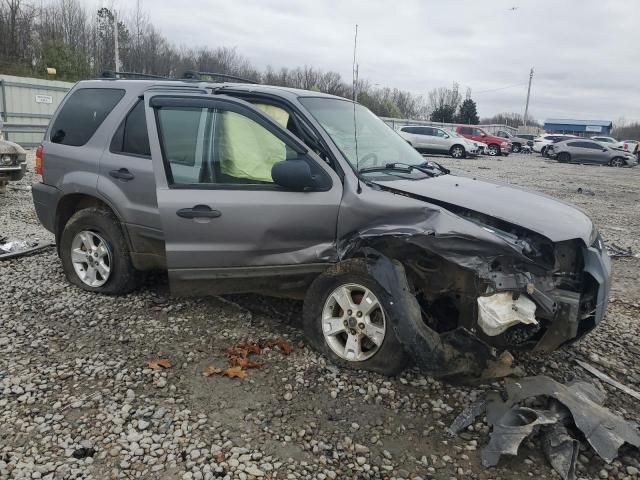 2007 Ford Escape XLT