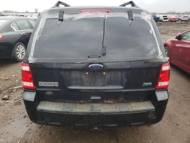 2011 Ford Escape XLT