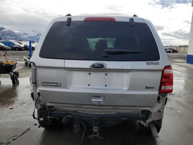 2010 Ford Escape XLT