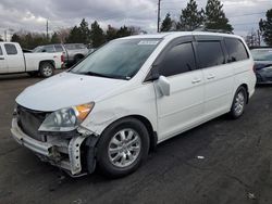 Honda salvage cars for sale: 2009 Honda Odyssey EXL