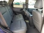 2005 Ford Escape XLT