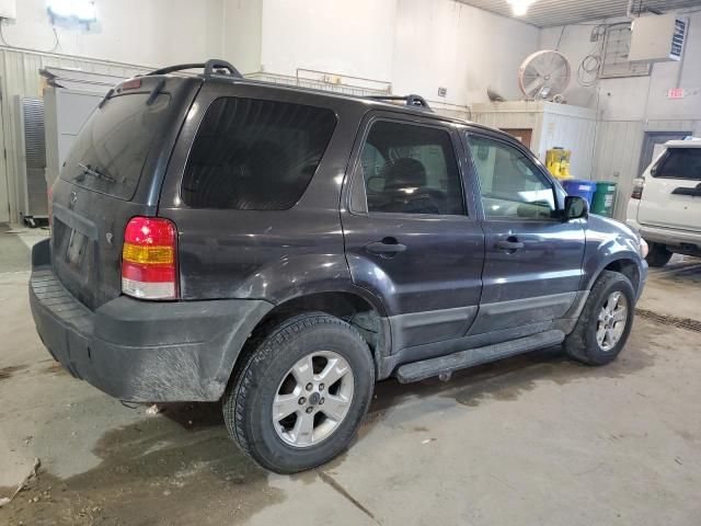 2005 Ford Escape XLT