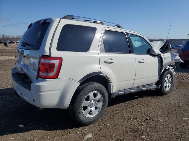 2011 Ford Escape Limited