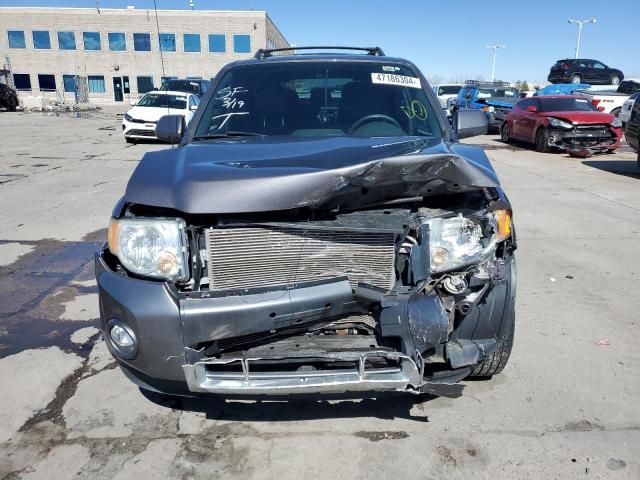 2011 Ford Escape Limited