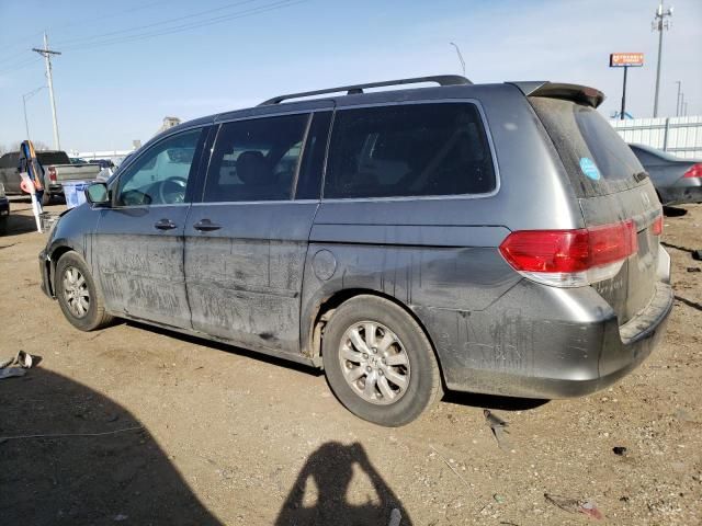 2009 Honda Odyssey EXL