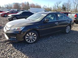 Salvage cars for sale from Copart Chalfont, PA: 2013 Honda Accord EXL