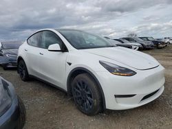 Tesla salvage cars for sale: 2023 Tesla Model Y