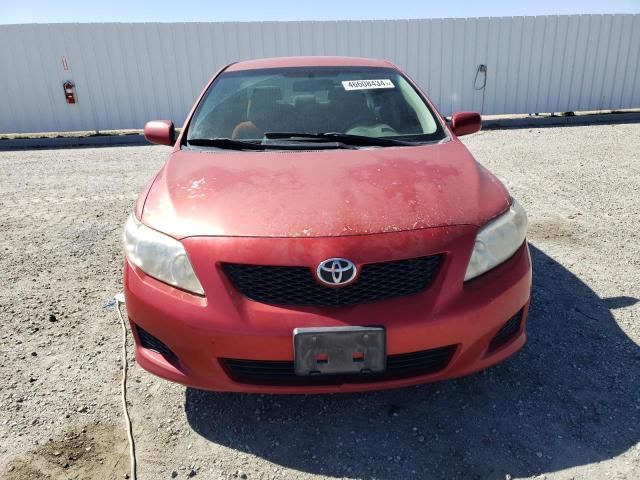 2010 Toyota Corolla Base