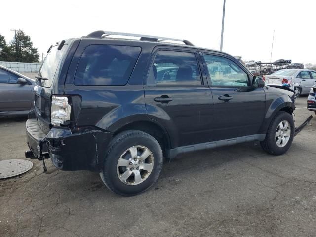 2010 Ford Escape Limited