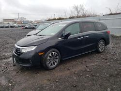 2021 Honda Odyssey EXL for sale in Marlboro, NY