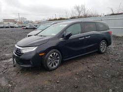 Salvage cars for sale at Marlboro, NY auction: 2021 Honda Odyssey EXL