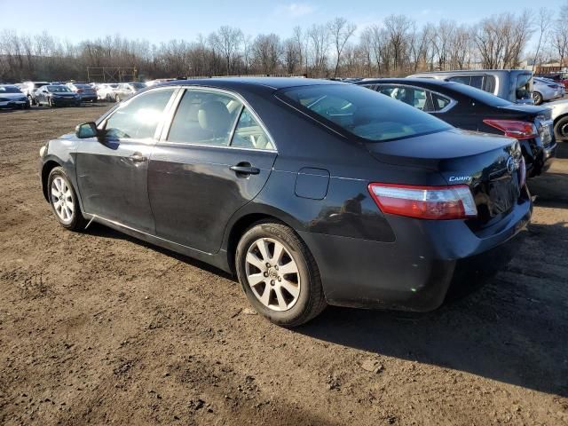 2009 Toyota Camry Hybrid