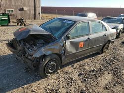 Toyota Vehiculos salvage en venta: 2005 Toyota Corolla CE