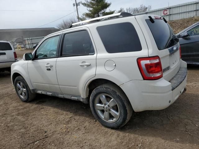 2009 Ford Escape Limited