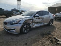 Salvage cars for sale from Copart Phoenix, AZ: 2013 KIA Optima Hybrid