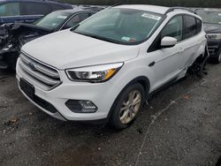 Ford Escape salvage cars for sale: 2018 Ford Escape SE