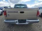 2001 Dodge Dakota