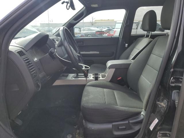 2011 Ford Escape XLT