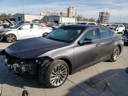 Salvage cars for sale at New Orleans, LA auction: 2023 Lexus ES 350 Base