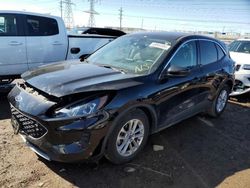 Salvage cars for sale at Elgin, IL auction: 2020 Ford Escape SE