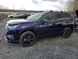 Toyota Rav4 Vehiculos salvage en venta: 2019 Toyota Rav4 XSE