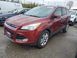 Salvage cars for sale at Bridgeton, MO auction: 2014 Ford Escape Titanium