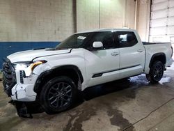 2023 Toyota Tundra Crewmax Platinum for sale in Woodhaven, MI