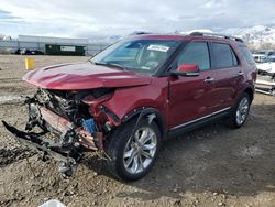 Ford Explorer salvage cars for sale: 2014 Ford Explorer Limited