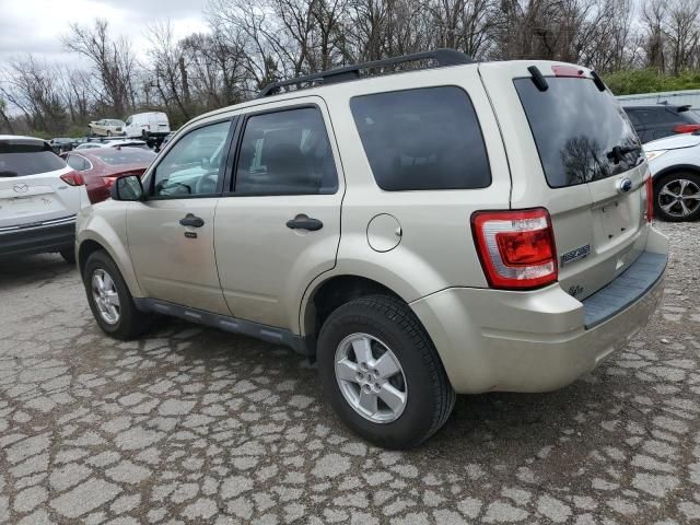 2010 Ford Escape XLT