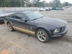 2006 Ford Mustang