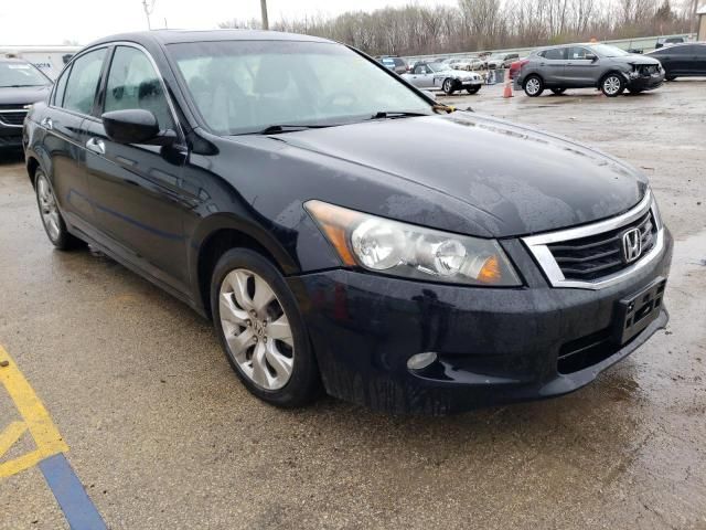 2010 Honda Accord EXL