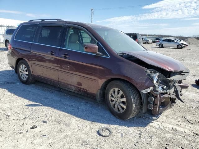 2010 Honda Odyssey EXL