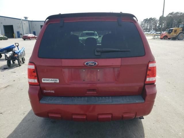 2010 Ford Escape XLT