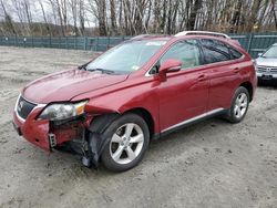 Lexus RX 350 salvage cars for sale: 2010 Lexus RX 350