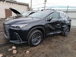 Lots with Bids for sale at auction: 2024 Lexus NX 350 Base